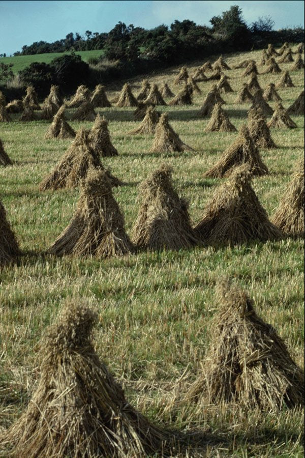 676074 Haystacks In Field, Antrim, Ireland A4 Photo Print