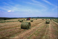 676082 Haymaking, Round Bales A4 Photo Print