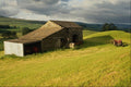 676086 Wensleydale, Yorkshire Dales A4 Photo Print