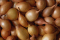 676093 Sturon Onion Sets A4 Photo Print