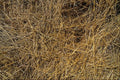 676094 Hay A4 Photo Print