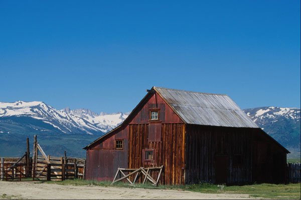 676096 Barn Near Bridgeport, California, U.S.A. A4 Photo Print