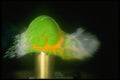677008 Bullet Impact, Egg A4 Photo Print