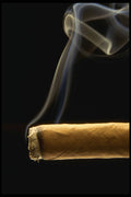 677018 Cigar With Smoke A4 Photo Print