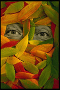 677021 Autumn Leaves And Eyes A4 Photo Print