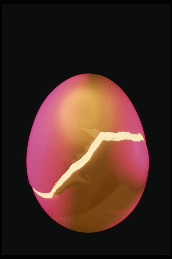677024 Conceptual Cracked Eggshell With Glow Within A4 Photo Print