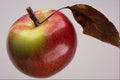 677037 Spartan Apple A4 Photo Print