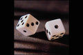 677054 Dice On A Roll A4 Photo Print