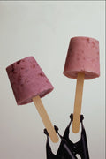 677057 Yogurt Pops A4 Photo Print