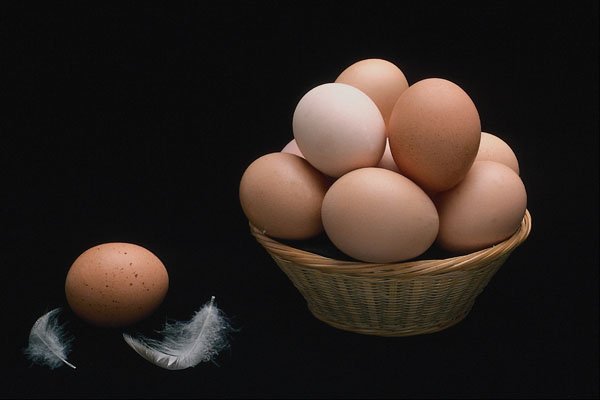 677071 Eggs A4 Photo Print