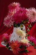 677081 Flowers In White Vase A4 Photo Print