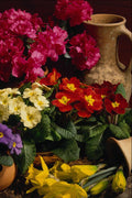 677082 Flowers In Brass Bowl A4 Photo Print