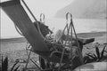 679006 Tennessee Williams, 1956, PA182755 A4 Photo Print