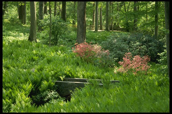 680013 Gardens At Winterthur, Delaware A4 Photo Print