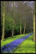 680032 Dutch Parkland A4 Photo Print
