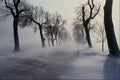 680049 November Storm A4 Photo Print