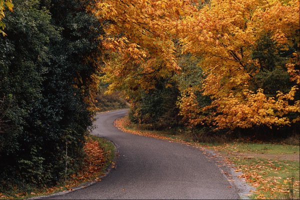 680053 Road, Saltspring Island, British Columbia A4 Photo Print