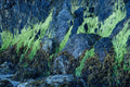 680062 Bright Green Moss On Rocks A4 Photo Print