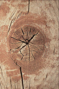 680065 Knotty Wood A4 Photo Print