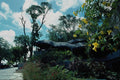 680067 Maria Farinha, State Of Pernambuco, Brazil A4 Photo Print