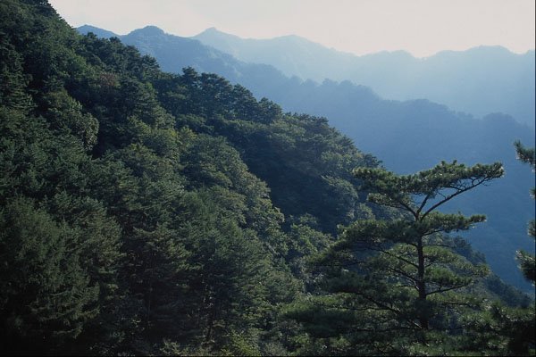 680072 Myohyang Mountains A4 Photo Print