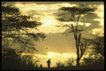 680078 Sunset Near Yabelo A4 Photo Print