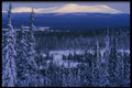 680080 Winter Scene In Olostunturi A4 Photo Print
