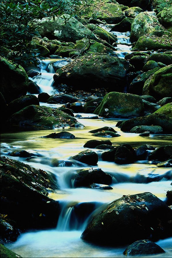 680085 Roaring Fork Trail, Smoky Mountain National Park, TN A4 Photo Print