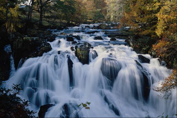 680092 Babbling Brook In Forest A4 Photo Print