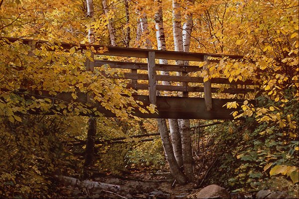 680095 Foot Bridge Crossing Rock Bed Stream, Minnesota A4 Photo Print