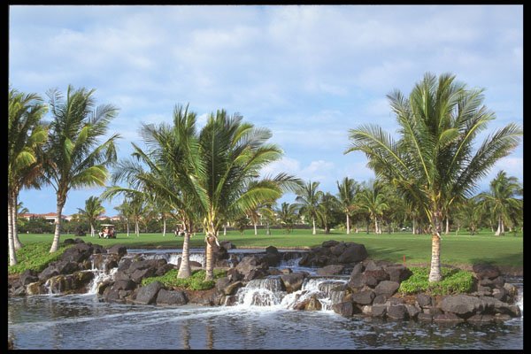 681002 Golf Course, Waikoloa Village, Hawaii A4 Photo Print