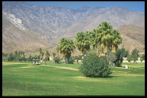 681019 Golf Course, Palm Springs, California A4 Photo Print