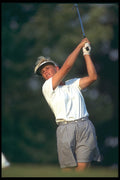 681026 Bertiotti Swing A4 Photo Print