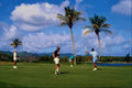 681062 Golfing, Mullet Bay Resort, St. Maarten, Caribbean A4 Photo Print