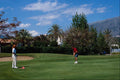 681064 Los Naranjos, Costa Del Sol, Spain A4 Photo Print