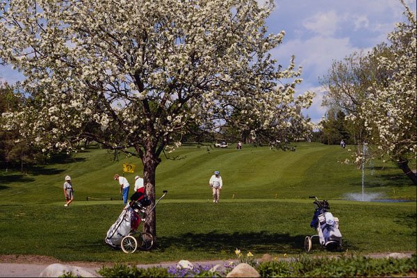 681077 18th Green, Hylands Golf Course, Ottawa, Ontario A4 Photo Print