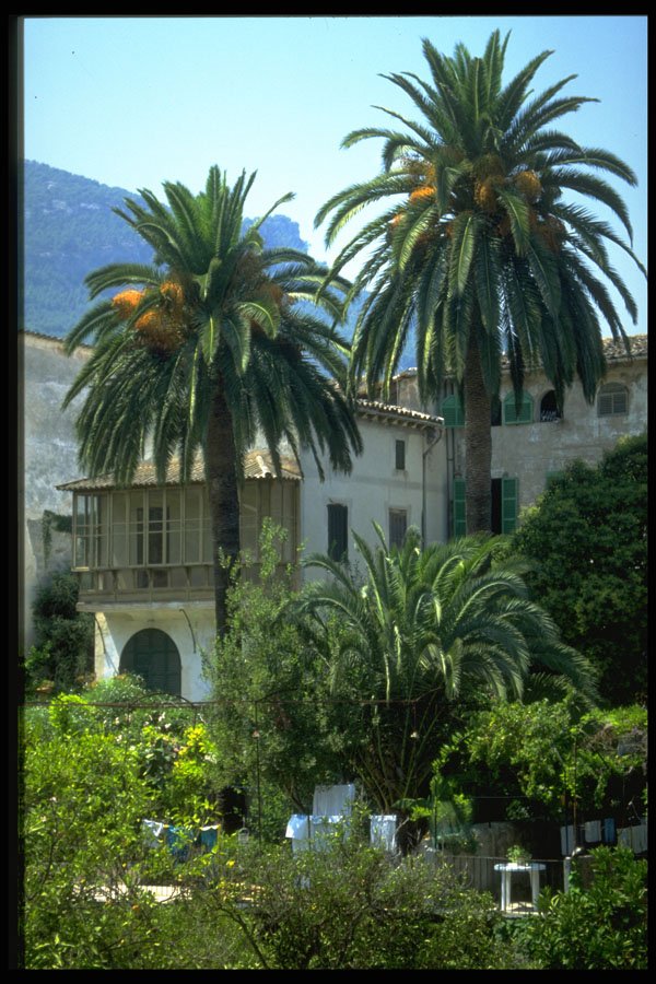 683007 Typical Houses, Soller, Mallorca, Spain A4 Photo Print