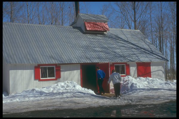 683018 A Cozy Shack A4 Photo Print