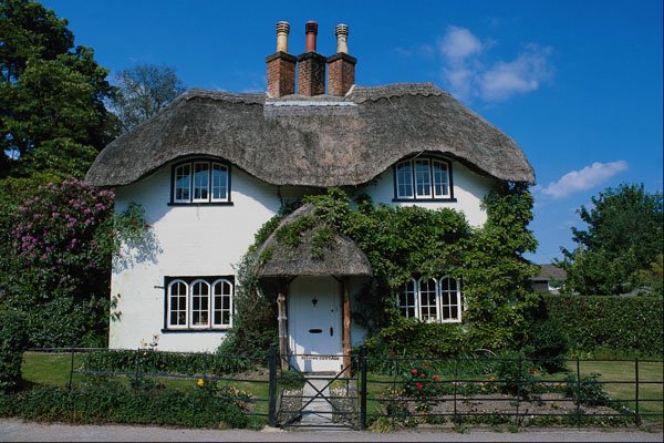 683054 Lynhurst, New Forest, England A4 Photo Print