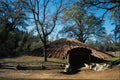 683080 Miwok Hun'je, Indian Grinding Rock State Park, California A4 Photo Print