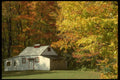 683081 Wood stocked Shack A4 Photo Print