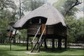 683093 Zimbabwe, Sikumi Lodge Tree House A4 Photo Print