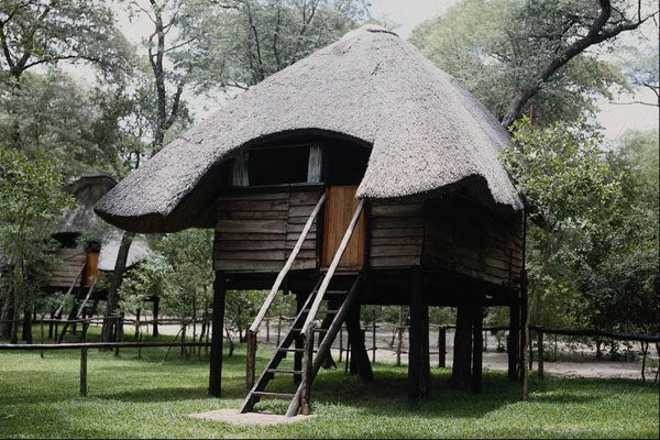 683093 Zimbabwe, Sikumi Lodge Tree House A4 Photo Print