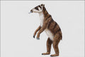 684012 Homalodotherium, Mammal, Miocene A4 Photo Print