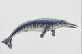 684015 Protocetus, Mammal, Eocene A4 Photo Print