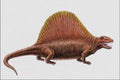 684017 Dimetrodon, Reptile, Permian A4 Photo Print