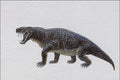 684020 Sauroctonus, Reptile, Permian A4 Photo Print