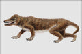684035 Thrinaxodon, Mammal, Triassic A4 Photo Print
