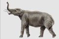684037 Tetralophodon, Mammal, Miocene And Pliocene A4 Photo Print