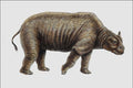 684039 Toxodon, Mammal, Cenozoic A4 Photo Print